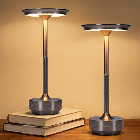Deux lampes de table tactiles en aluminium gris, posées côte à côte sur une table en bois.